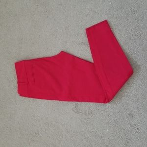 The Limited Exact Stretch pants